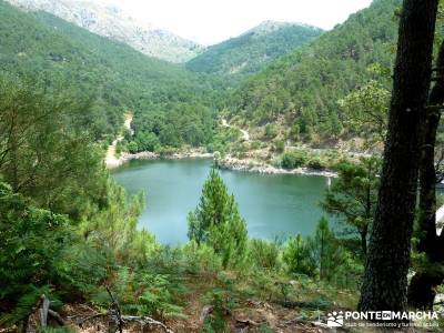 Pinares de la Angostura en Piedralaves;viajes de trekking viajes de semana santa puente mayo